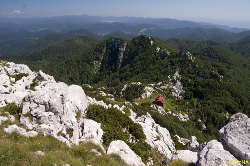 risnjak