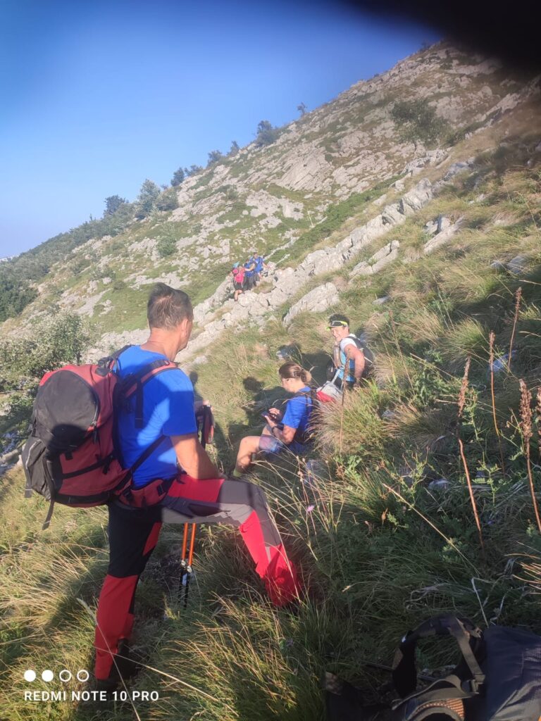 49cdedb6-f77d-4f2a-aae7-e6faac4321a4