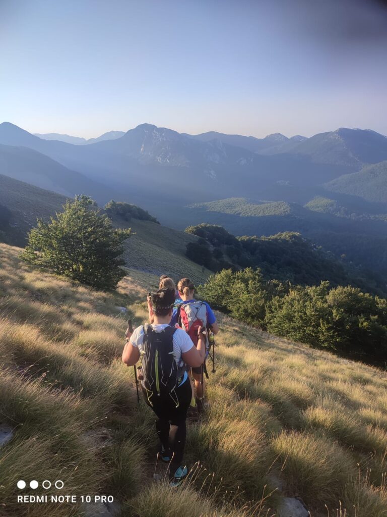 79831b4c-12f9-4ca8-929c-75dd5fd9963d