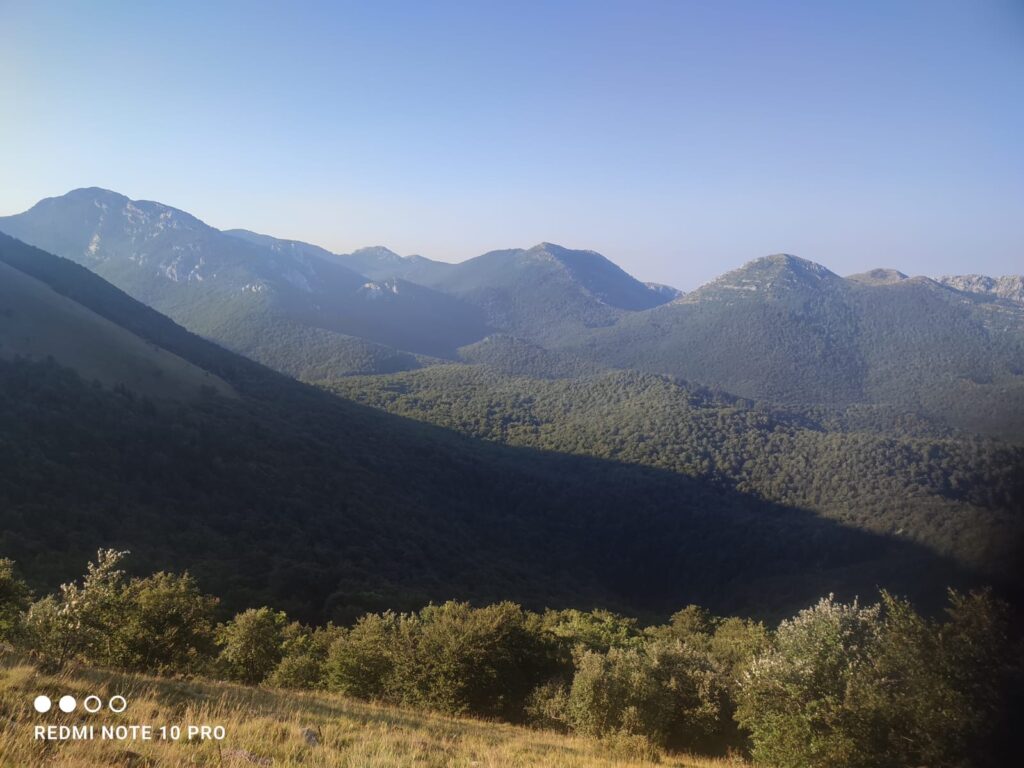 bb1ee81a-0e84-4281-b680-8f8f8ed847f6