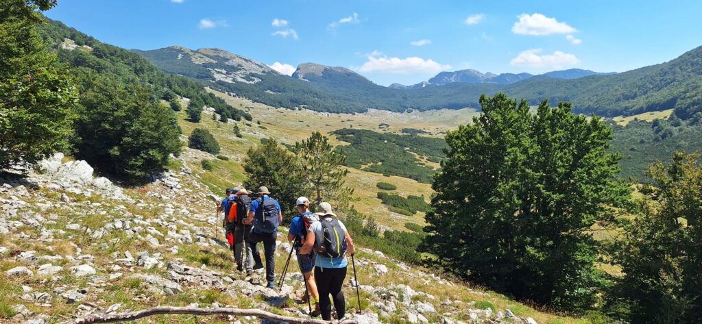 c200bc39-786d-4705-ad7d-d68444f81837