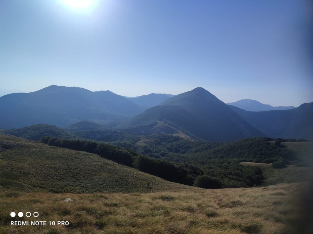 cdbaa0e2-32ca-44b5-aa68-09bf53b062c1