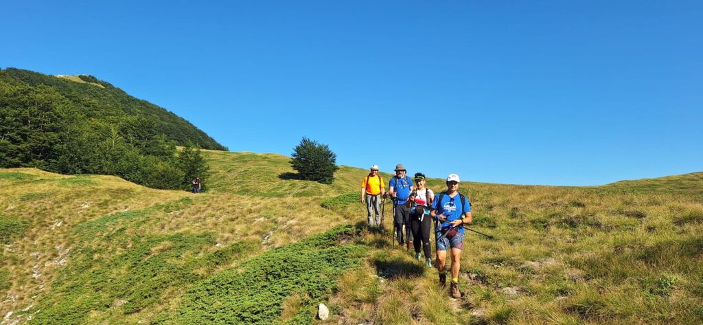 d0043aee-7f29-4cb4-bad8-0880815f322e