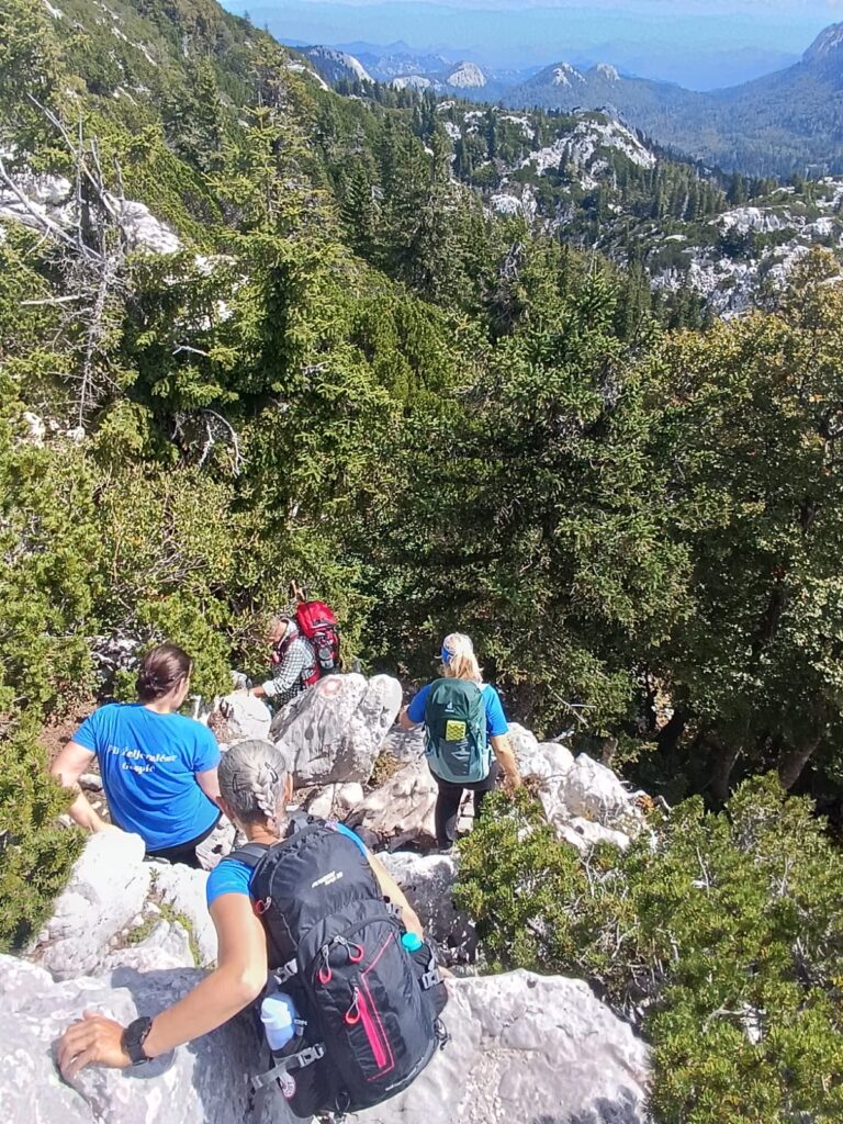 787541ff-e7ab-4892-8edf-15f5f5f92637