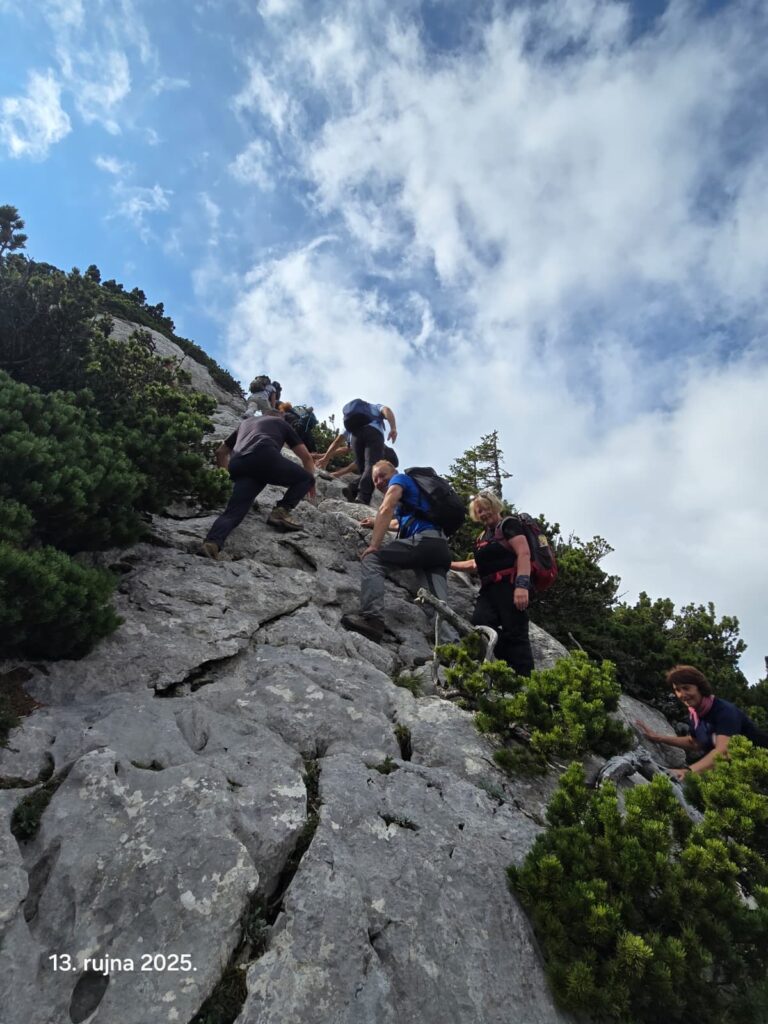 7c931355-d6f5-49b7-be72-edc9b2437893