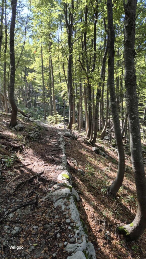 att.5D-GaZOOy4l_jW7ZCaSpmuRLKp2RRND61Uu-QJwEf2c