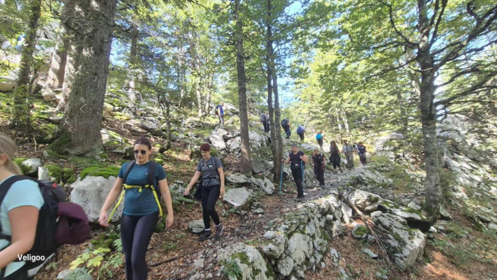 att.Ezd-5dzUYeYmLe4VGLcTEp7jOZOCHBOTEwAwAw0L2kc