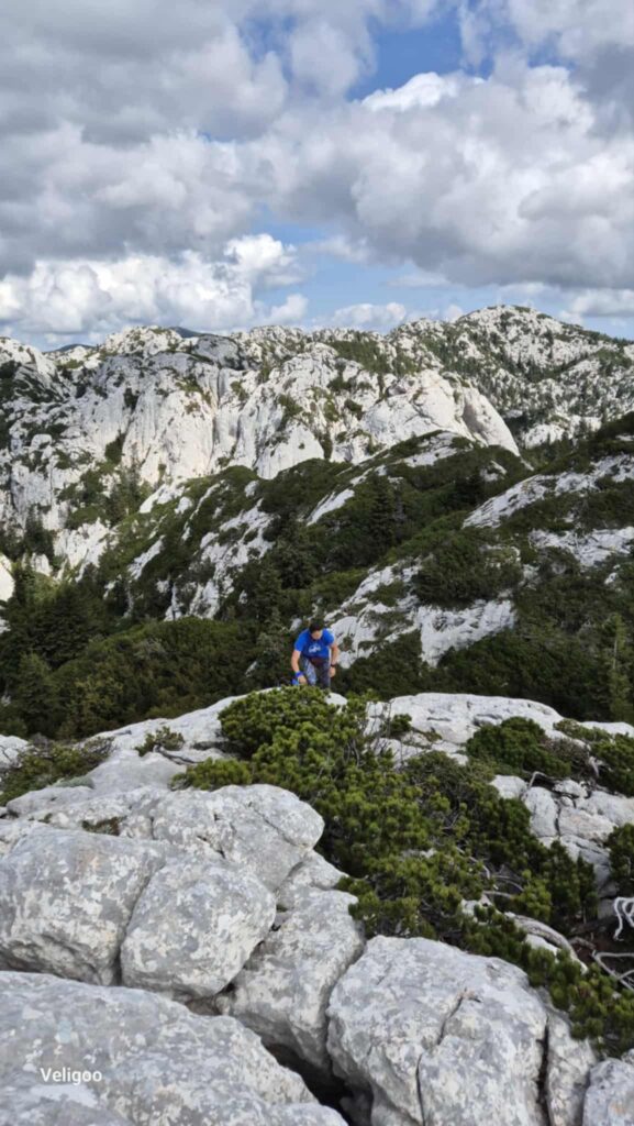 att.VJhGmqvxPWaMUUcOPYVOptSbNZsKs49uOHOfPpeJkGk