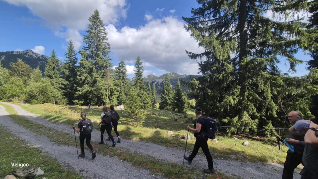 att.XinetsZwA3cv8HZAk_xLYLq2MY9_-H-QNt92hV743W4