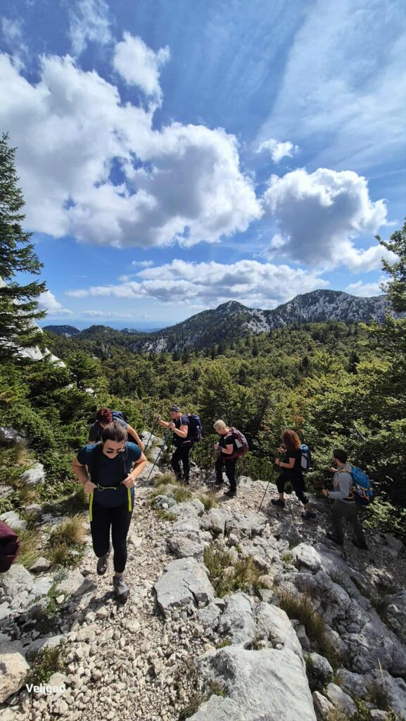 att._YqPdQ1tn0MuoOc_EpeiL4cWkFqyAAM4r03BSy1pyiI