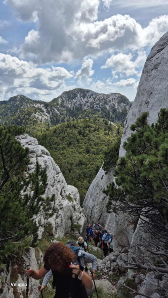 att.aLftrJ0Roq_cF1m3AsZKkWqINMZbPAHvS9bs8nogWwI