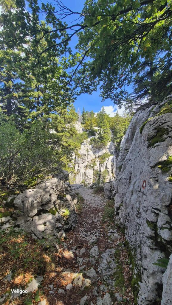 att.npWZH0ouQBOE1mNVmclSAHznbwvlTfirFrYDPCroOI0