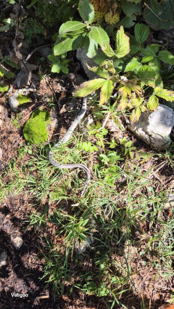 att.zo7S4aj6TRpzoCZzON-tS3NkJ-odf8kbYauFfPLYxP0