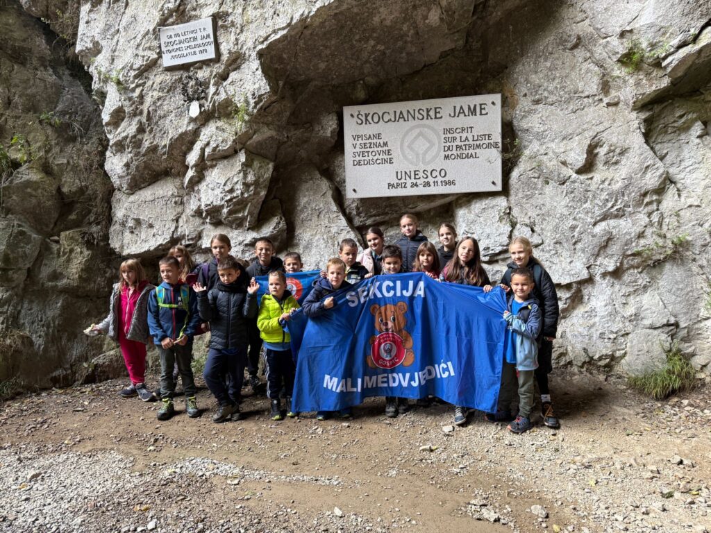 0738c0e8-fc0a-4a54-952e-01bfe4c79fc3