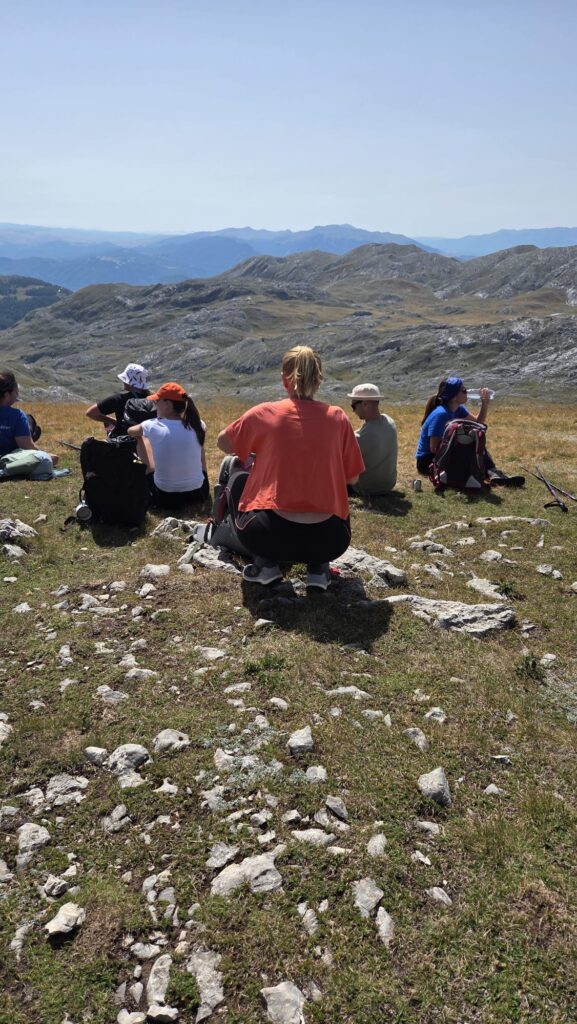 07d2e983-0d01-4e1e-a285-e16f331448d9