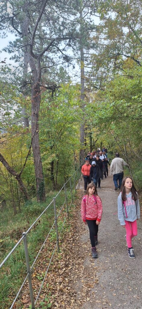 0b366c7a-455f-4b34-bbeb-34514ddfb74a