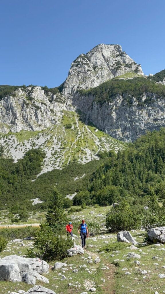 0dcf9bf3-6649-4654-8918-6aa98ae9c024