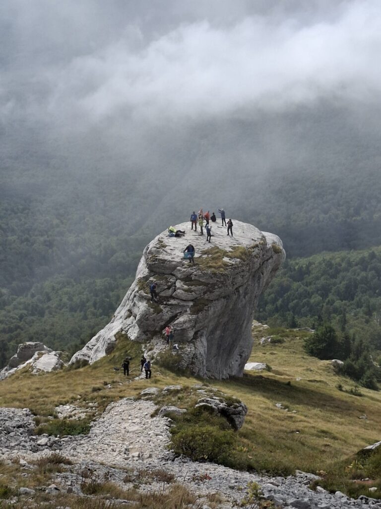 10e371f8-8450-4cc7-bc16-fad8d906aade