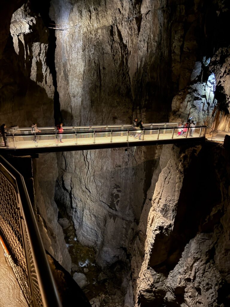 348d71c4-cfd6-4ecb-b8ee-718e04e93b26