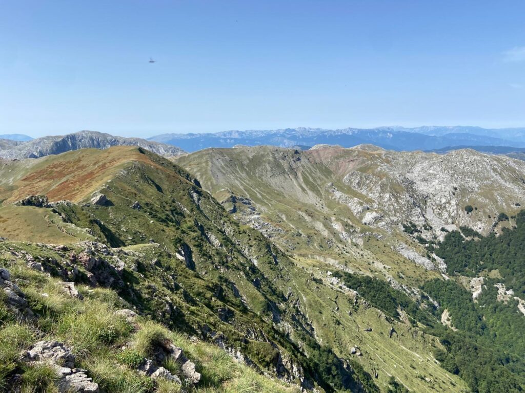 3b7d0536-047a-404e-b533-698a344f5064