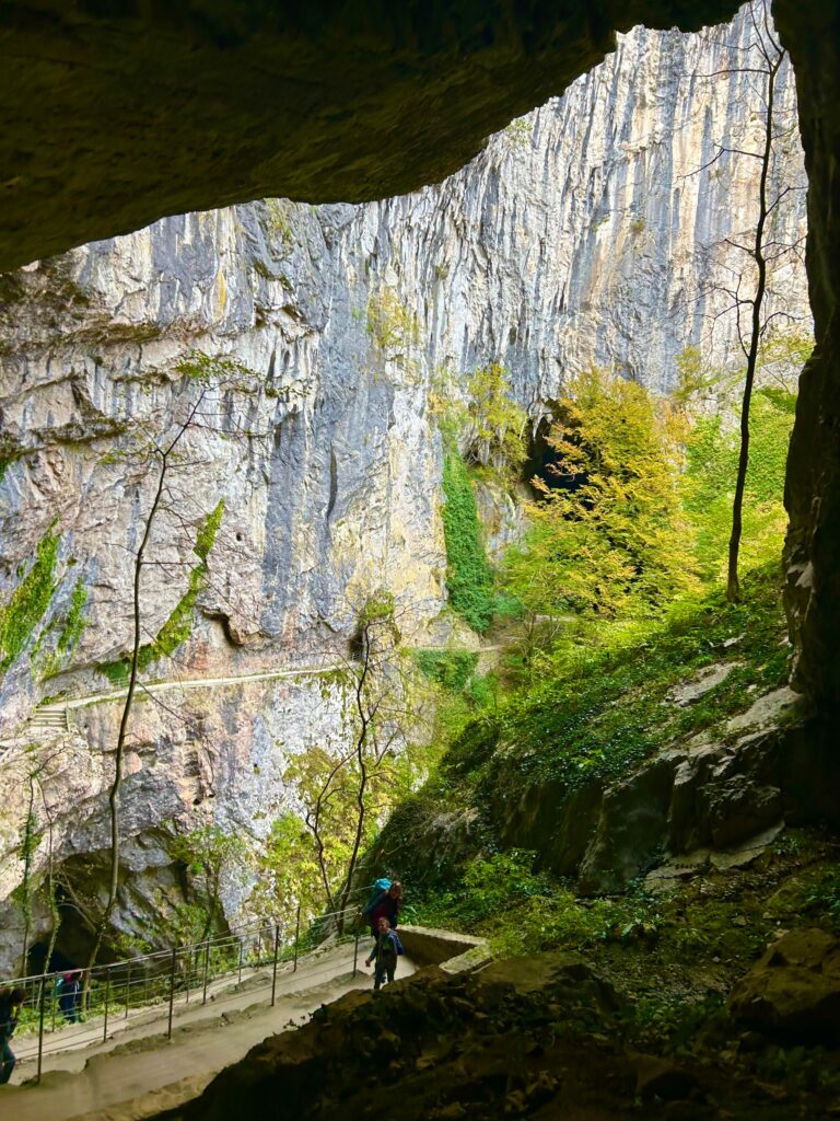 480d76f4-ef0c-4bf6-a038-ca75699dbd96