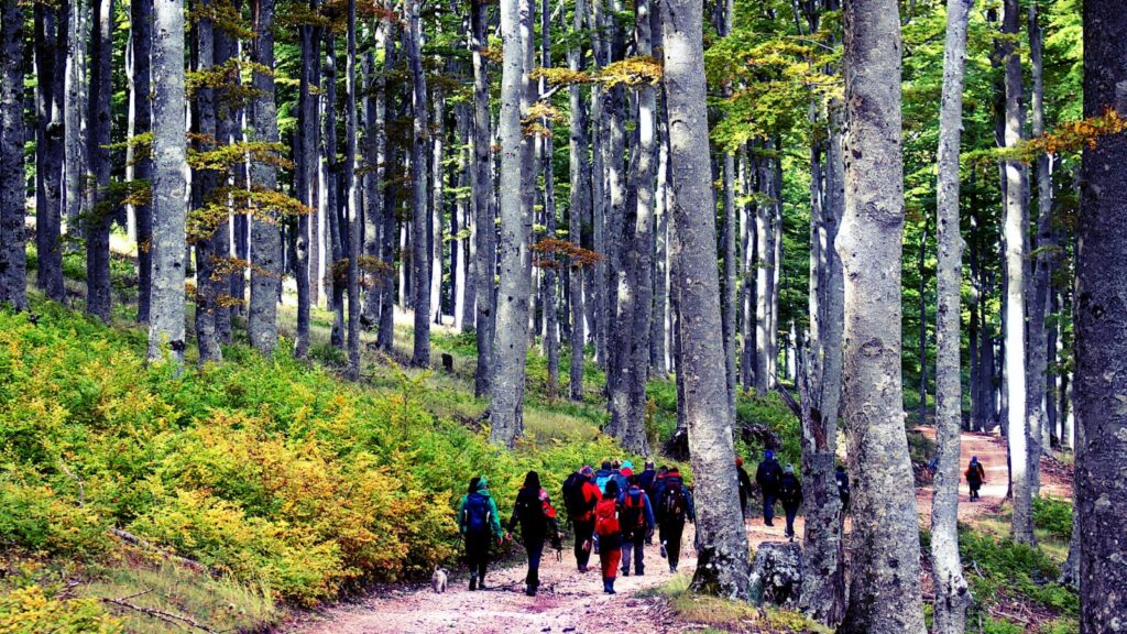 4ee30ca8-e722-47e3-8257-f5afb73c4ab6