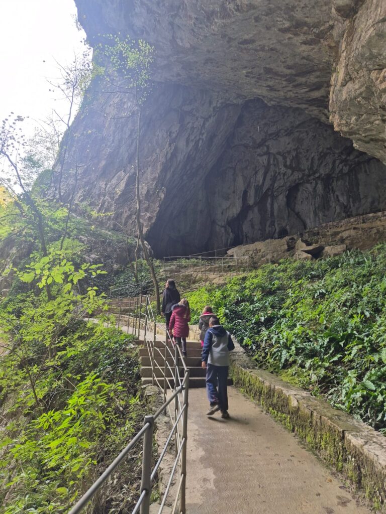 4fc8ff3c-00b5-4e84-affd-ff7aa926e78f