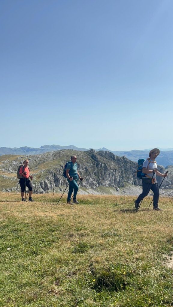 4fec6c5e-b87e-4951-8a53-d724aa6047b5