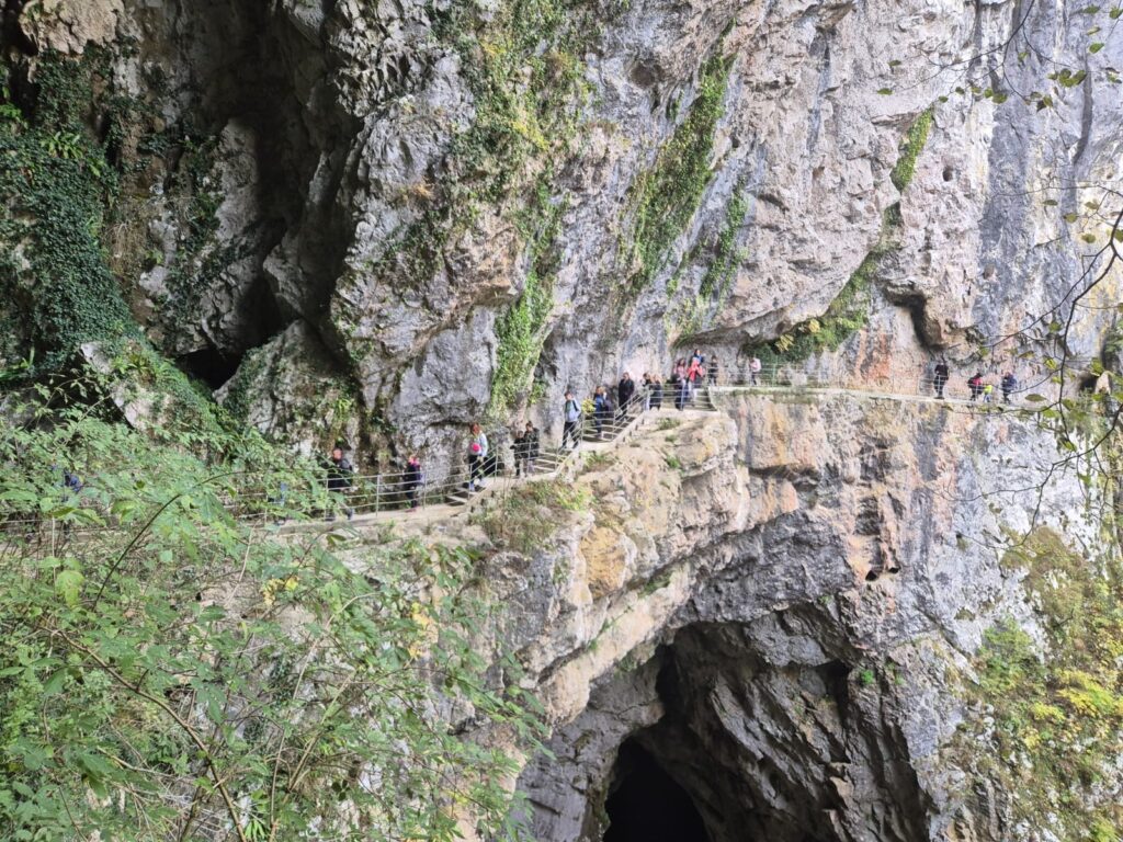 51797c6f-7c3c-4323-9312-553751b7a46c