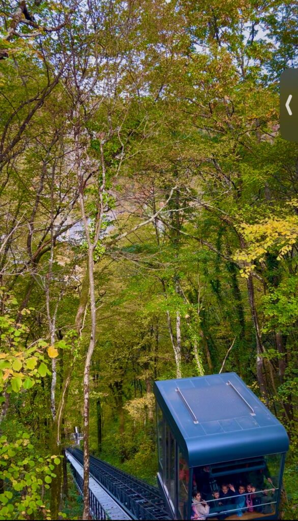 51fcc449-c333-4eb4-bd70-45ef0af4a840