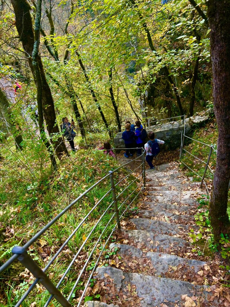 5e222cc6-aea5-4e83-8e61-ef415496637c