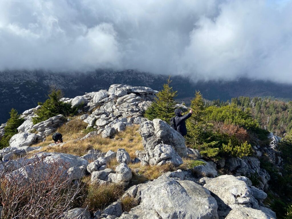 618042f4-d3f5-47b2-acd2-f0f0db075fe7