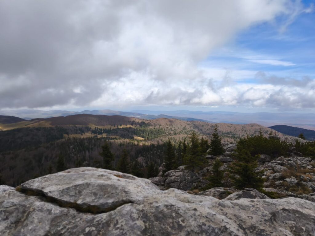 621774bb-e2b1-4790-a202-61a22c6967fe