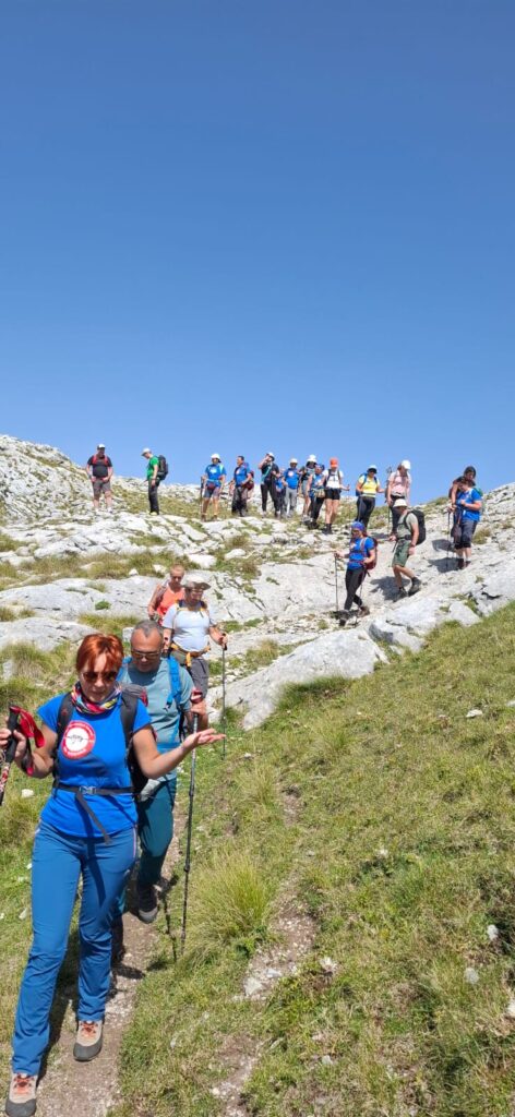 6f915059-5ba2-4567-93ac-aaaaa37dfc7e