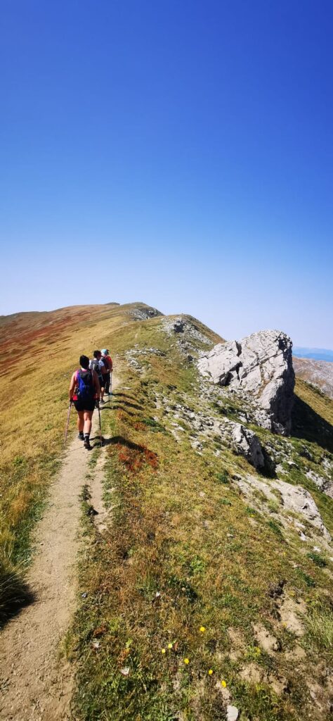 71b006b1-1aa0-4347-a448-b5cedee75476