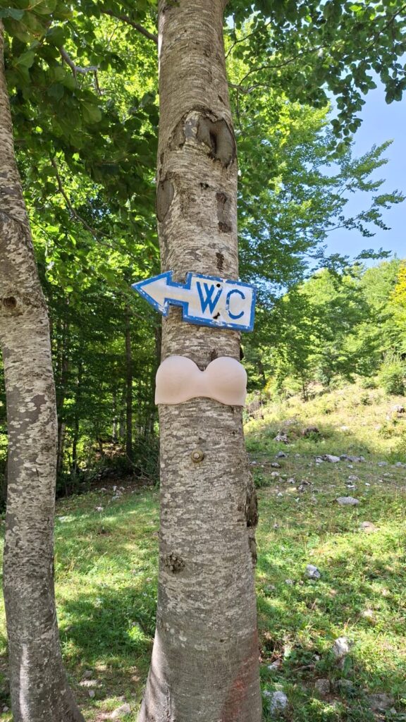 72742d6e-693d-4afc-a026-7620e16afb99