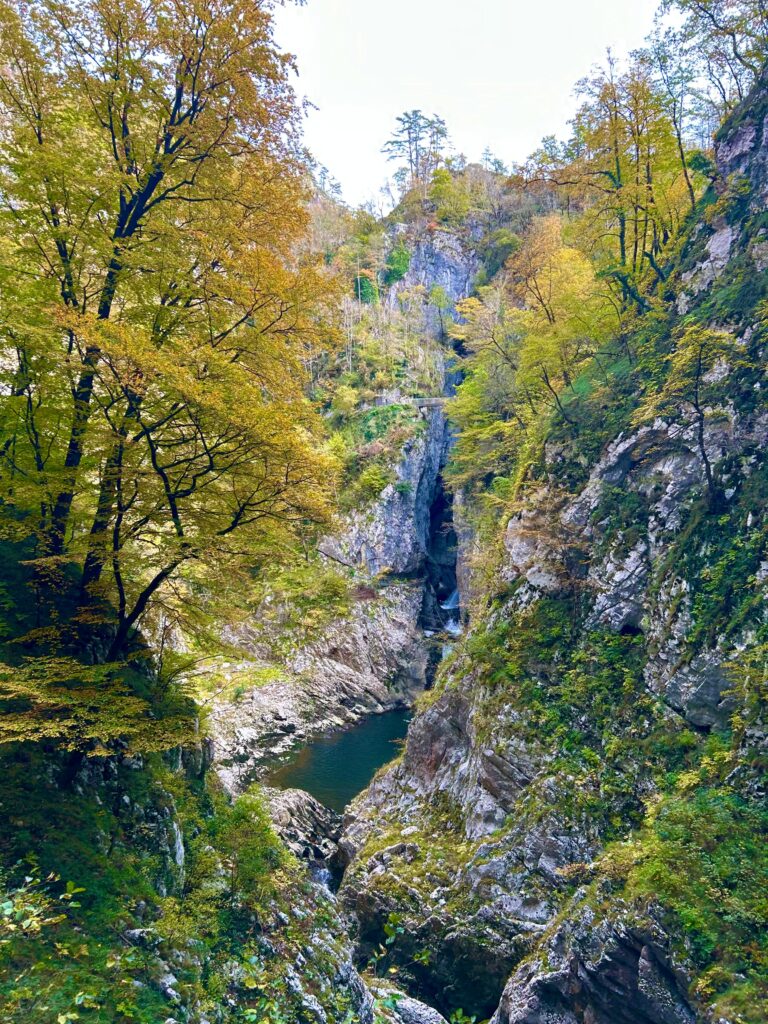 754a7482-82a8-41dc-8e09-69e569477547