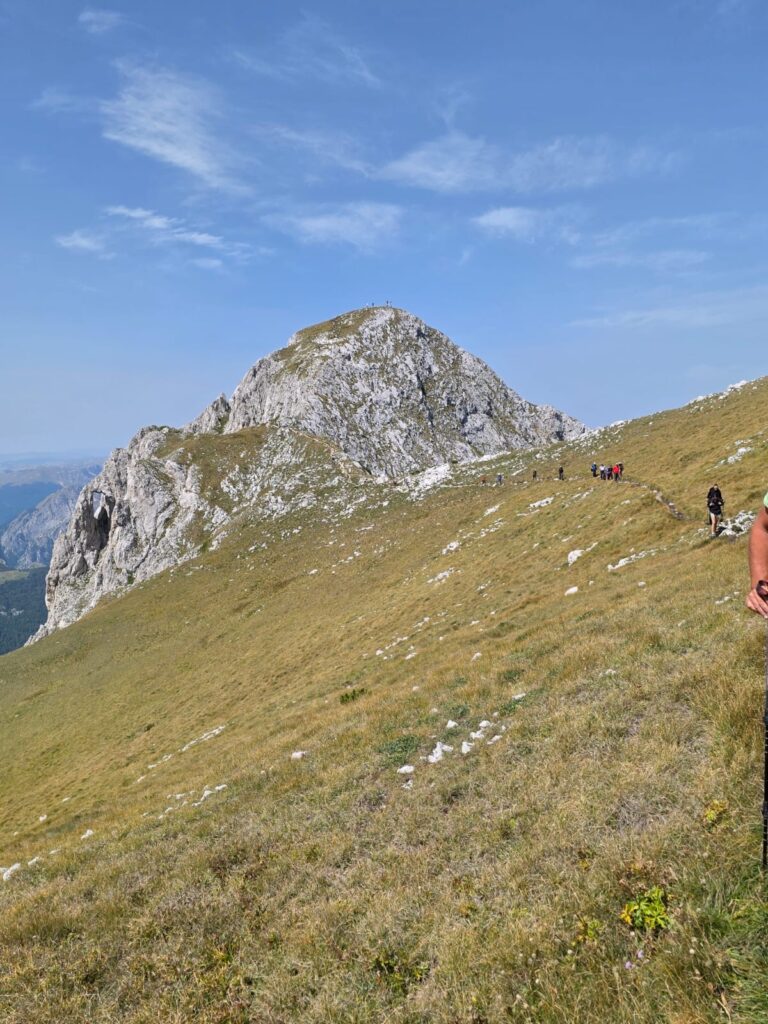 783c1567-b94a-4119-a75f-09aaaf96a9b7