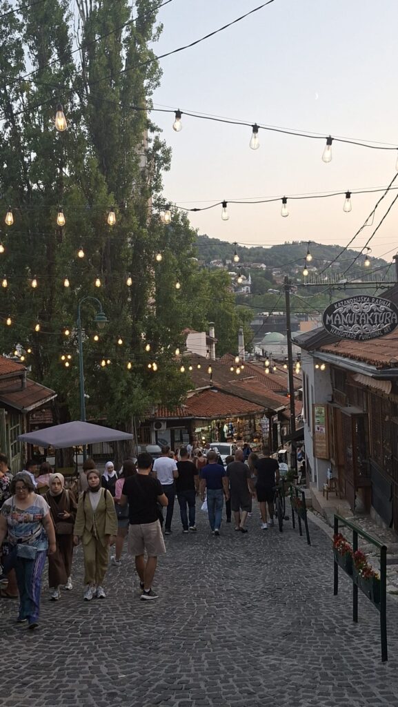 79e75100-8395-4aa9-99d5-6b2c9e7d6bcb