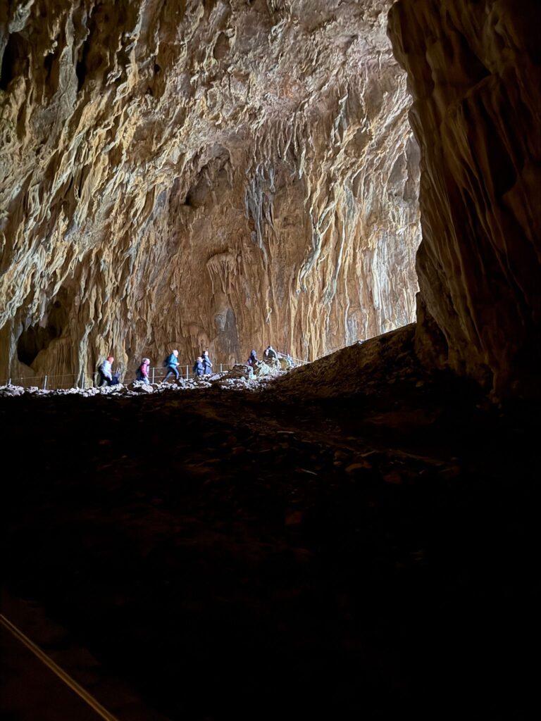 829d2133-125e-46b1-9b33-da01058e7671