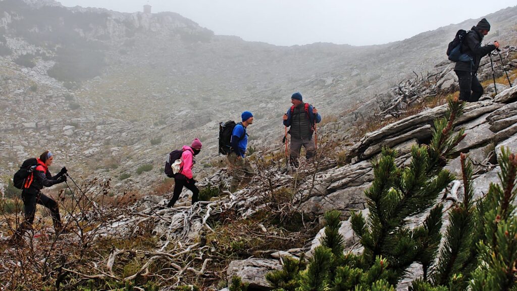 866ed673-8b10-4fee-9ba7-6eaa3a391f59