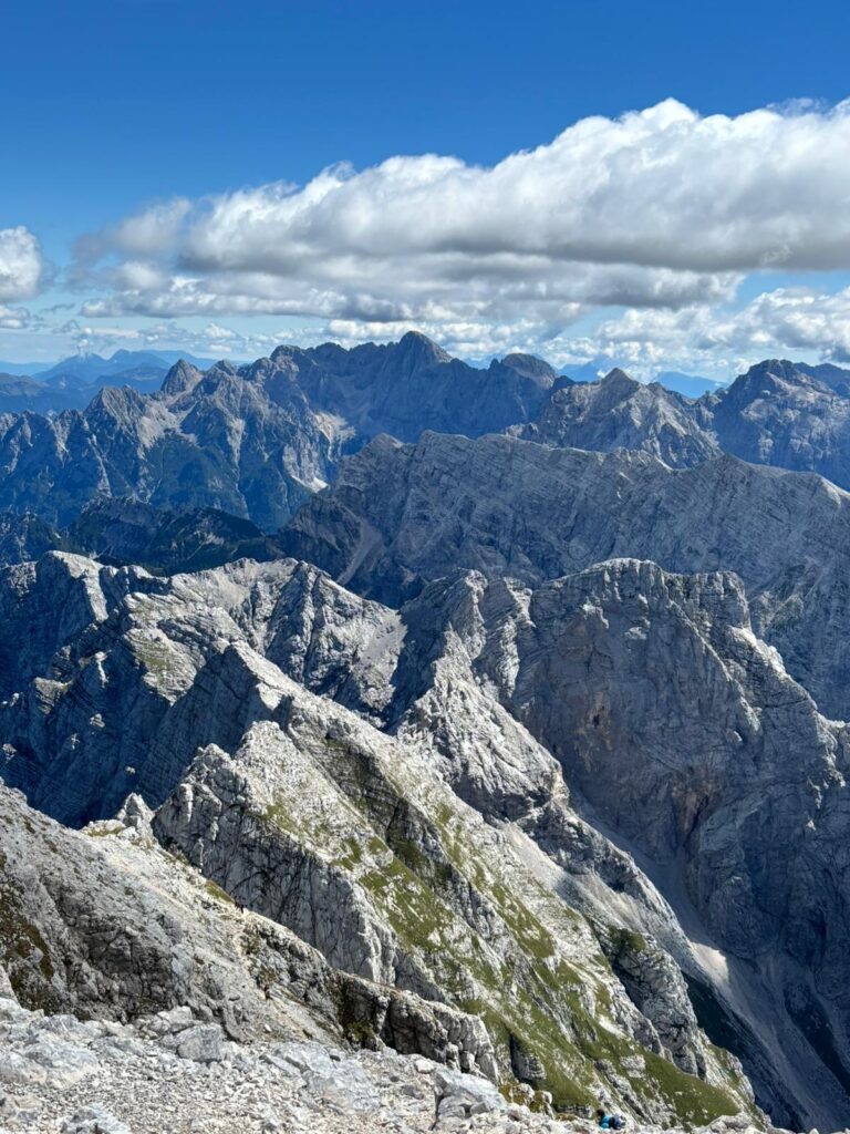 88a3e7e9-4f62-4c47-9b15-e3b154e7903a