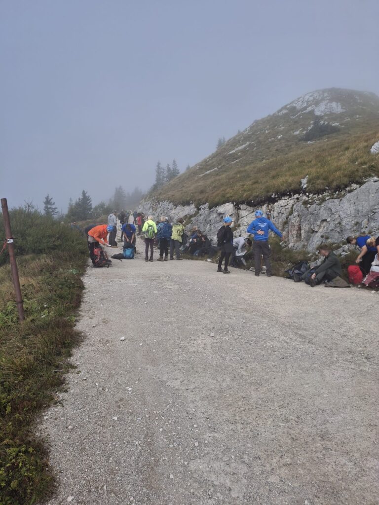 8bbfbfaa-6719-4f6e-868c-7ecd32015eb1