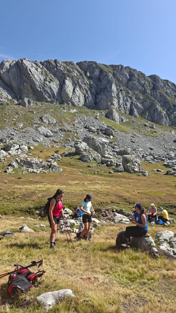 9e331365-86d1-4b74-97d1-3323d834e572