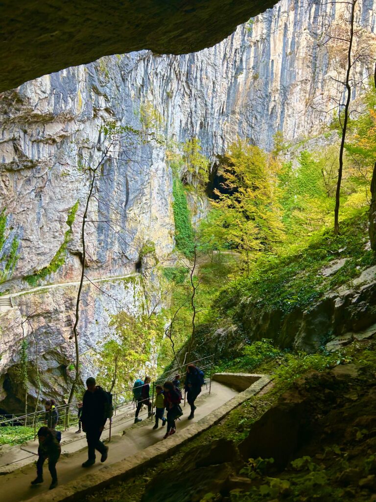 9ff4810d-a69a-446f-9297-a196da5b3483