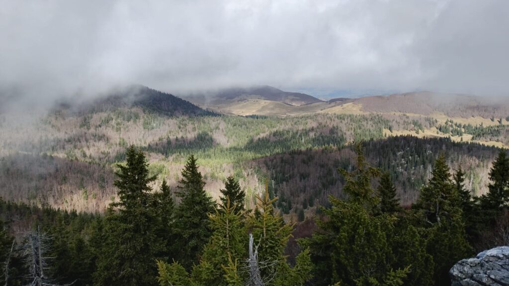 a06d448a-bfe9-46e6-b5b7-af74479591c7