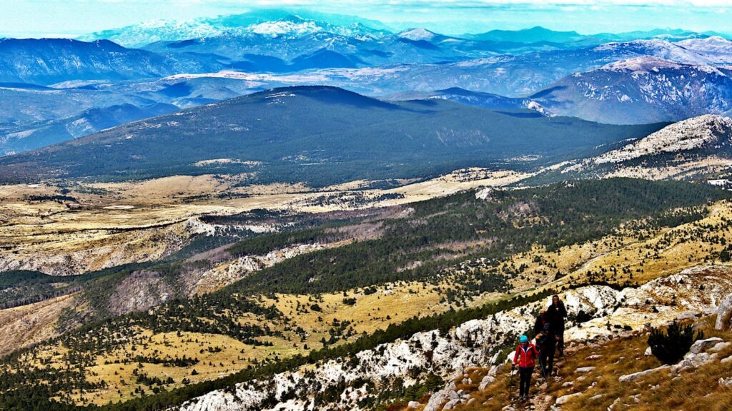 a35b644f-aff5-4361-a48a-cc5fdf3c588a