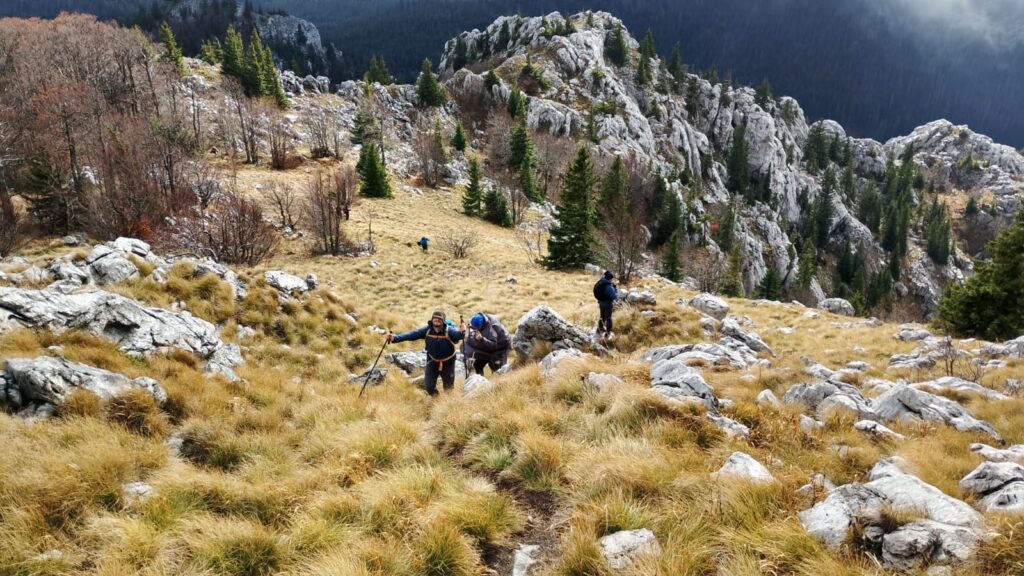 a373c849-3365-467b-9a12-56442081ce73