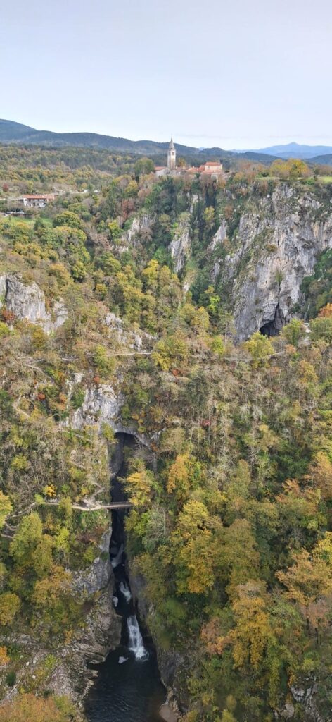 a8f1f6e5-47ce-4e28-93ed-76da4cf93183