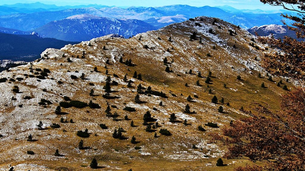 b0b95adb-5307-4be4-96e8-c31e97b866f9